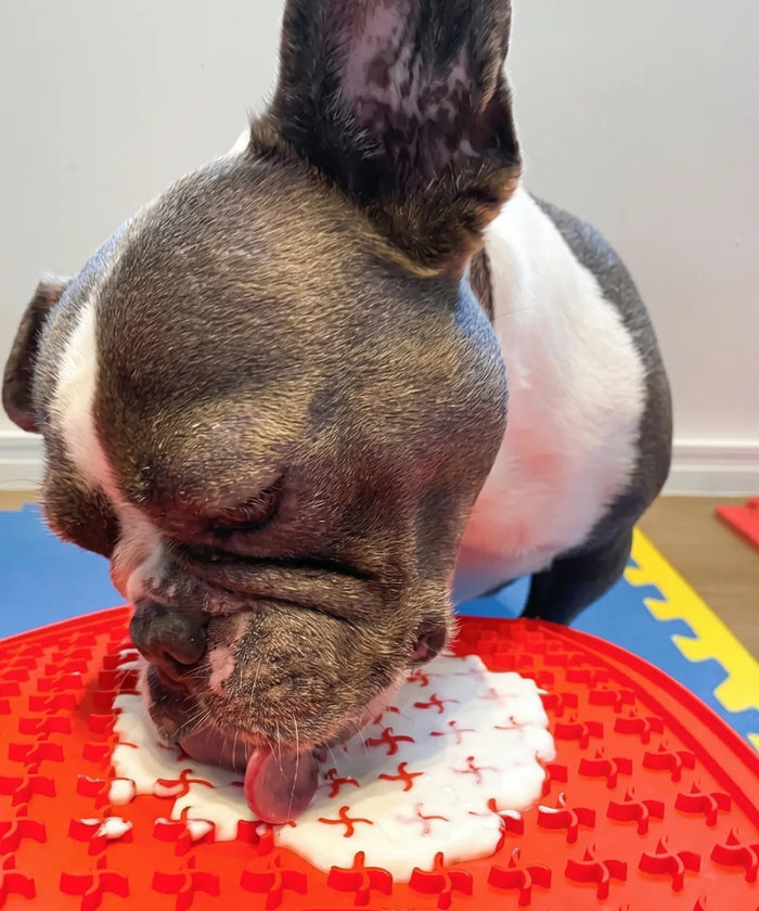 Enrichment & Lick Mats
