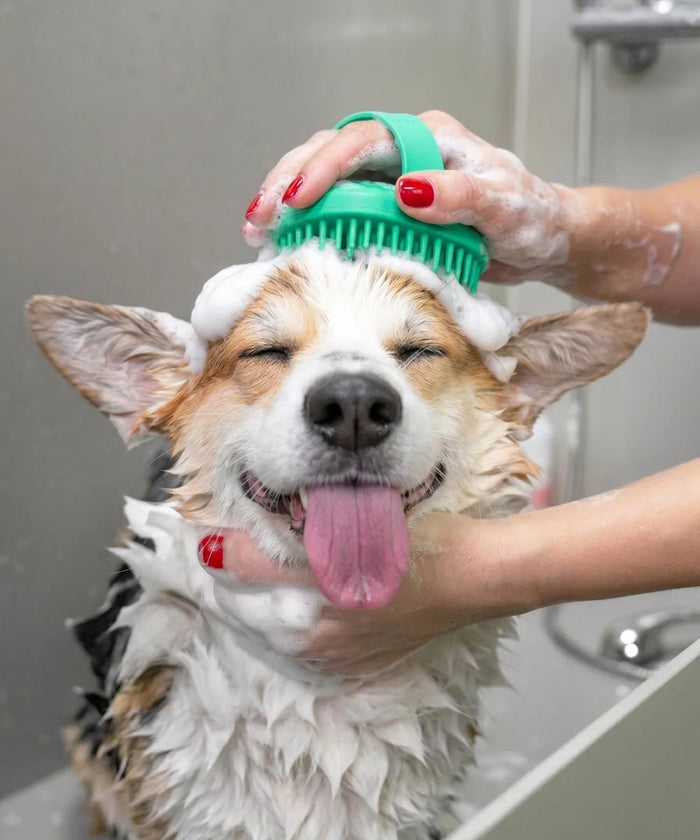 Grooming