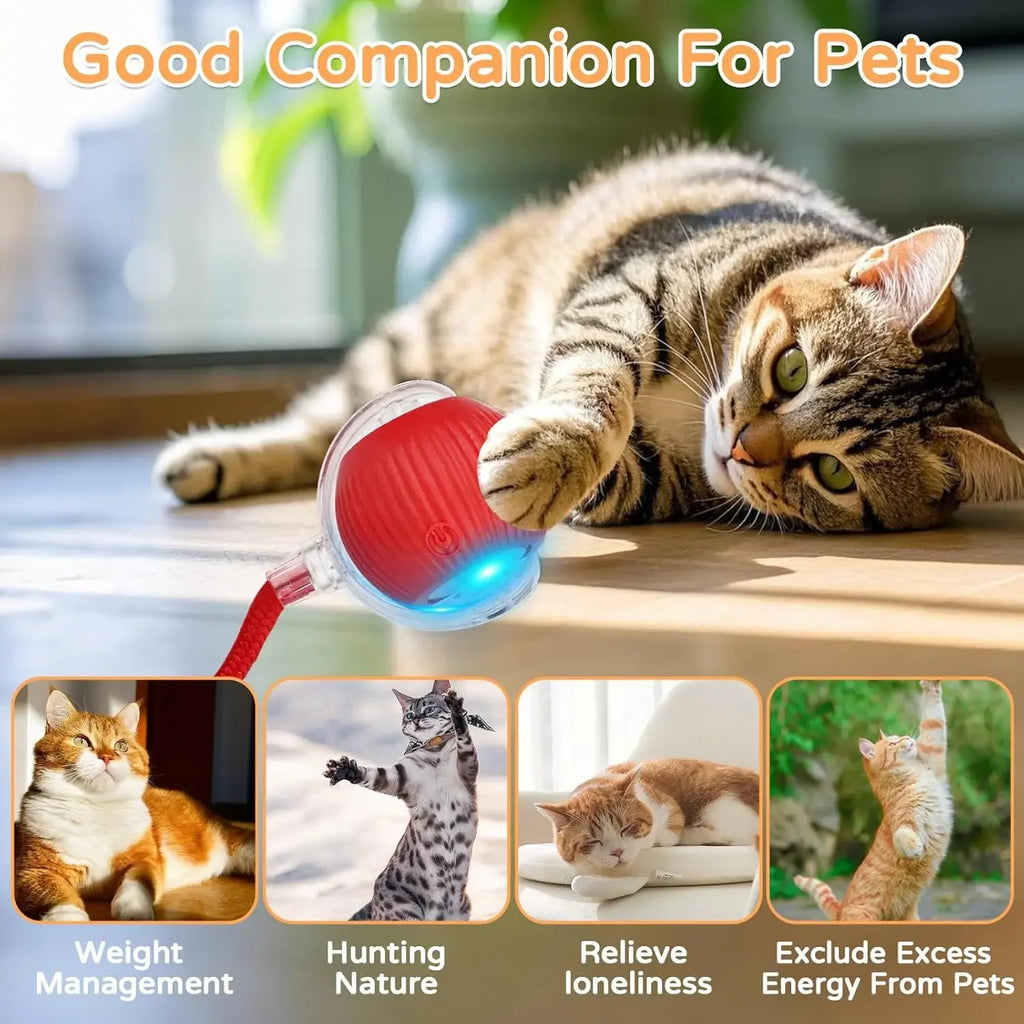 Automatic Rolling Cat Ball (2-Pack), Motion Activated Toy with Tail