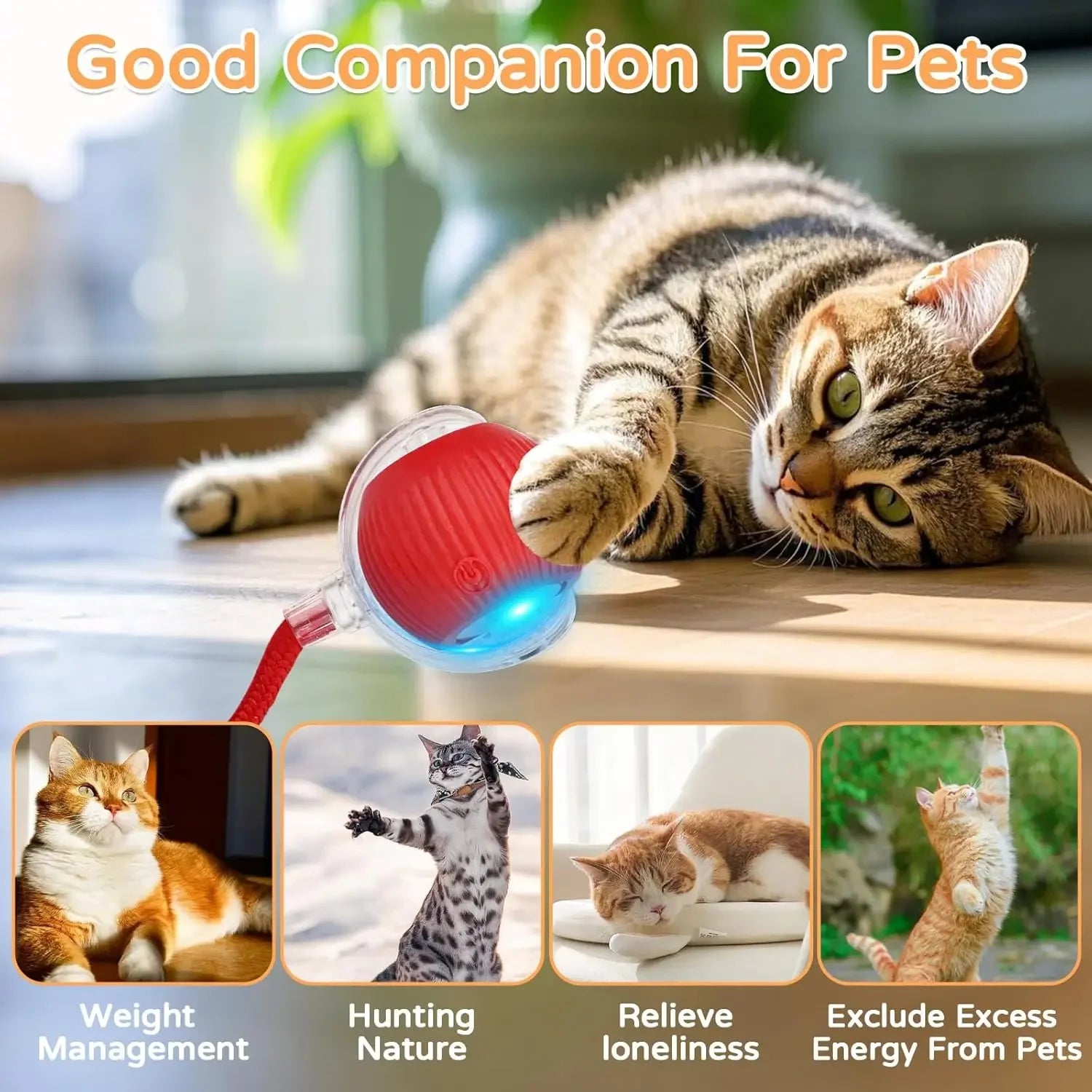 Automatic Rolling Cat Ball (2-Pack), Motion Activated Toy with Tail