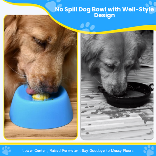 Golden retriever licking food off a blue anti-choking slow feeder dog bowl, next to a messy flat bowl
