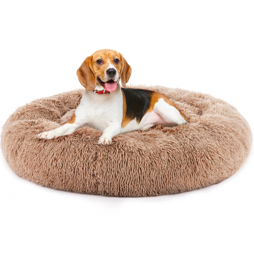 Beagle resting on a tan faux fur calming donut dog bed with a raised cuddler rim, white background