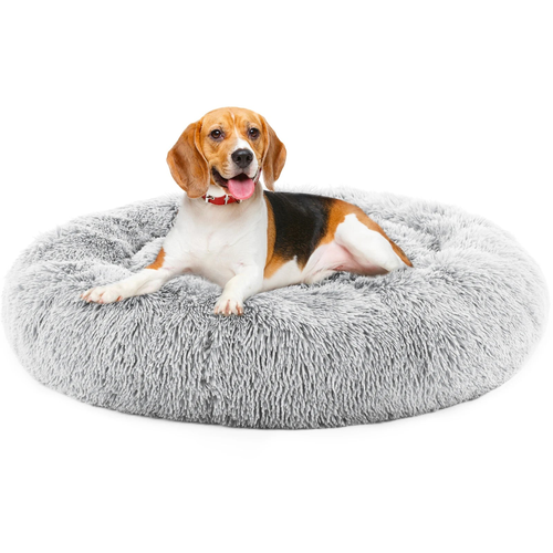 Beagle lying on a light gray calming donut dog bed, showing the plush bolstered rim color option