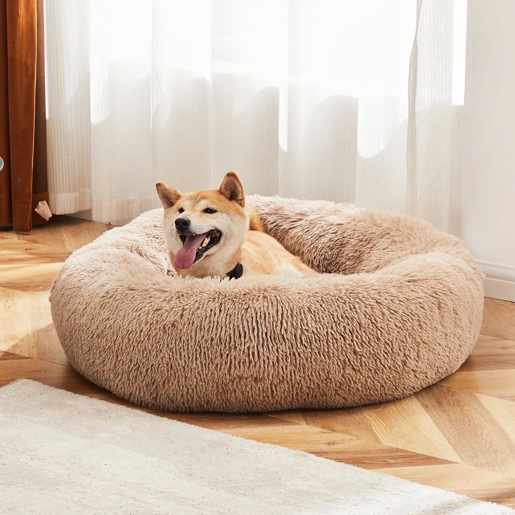 Shiba Inu curled up on a tan calming donut dog bed on a wood floor by a sunlit window