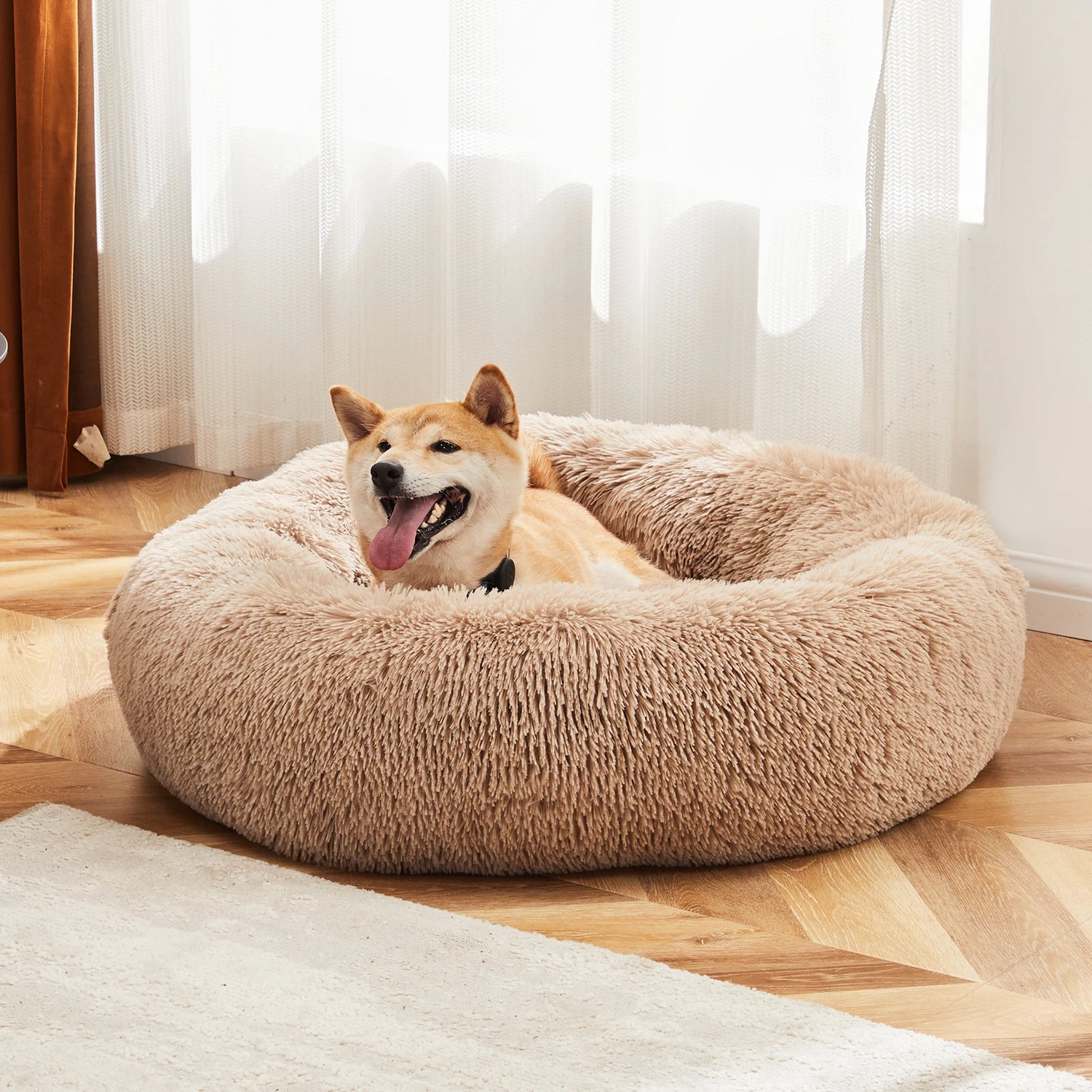 Shiba Inu curled up on a tan calming donut dog bed on a wood floor by a sunlit window