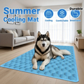 Husky resting on a blue dog cooling mat in a bright living room on a summer day