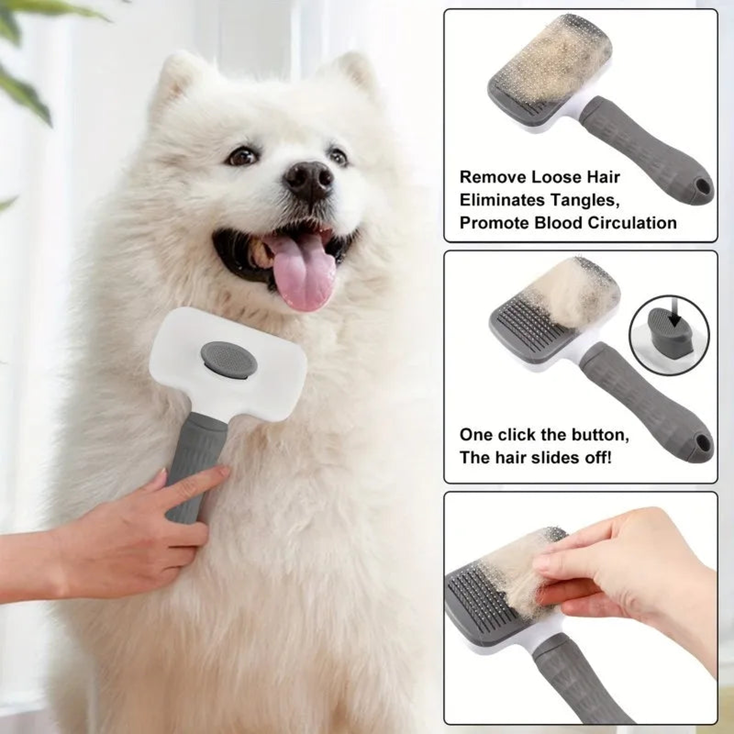 Fluffy white Samoyed being groomed with the self-cleaning deshedding brush around the neck and chest