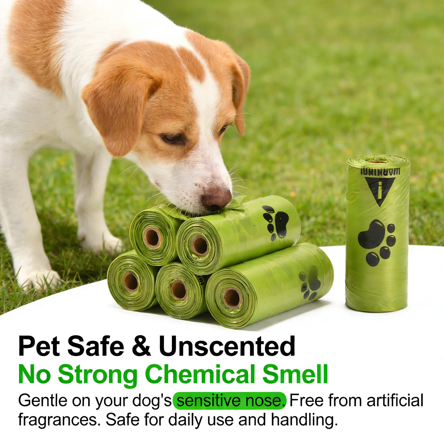 Brown and white dog sniffing green rolls of unscented dog poop bags on grass