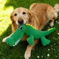 Golden retriever lying in grass holding a green crocodile no stuffing squeaky dog toy in its mouth