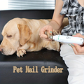Quiet dog nail grinder filing a relaxed yellow Labrador's nail on a couch while the dog stays calm