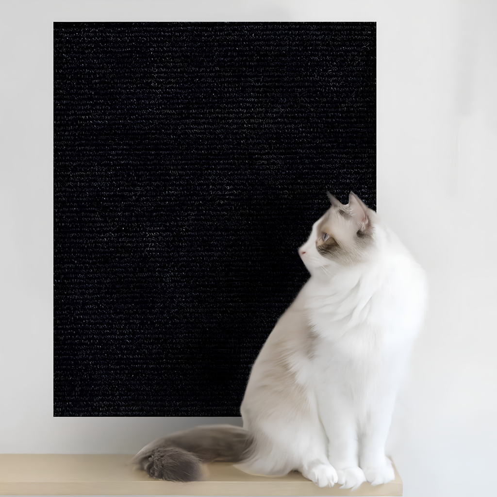 White cat next to a black cat scratch furniture protector panel adhered to the wall above a wood shelf