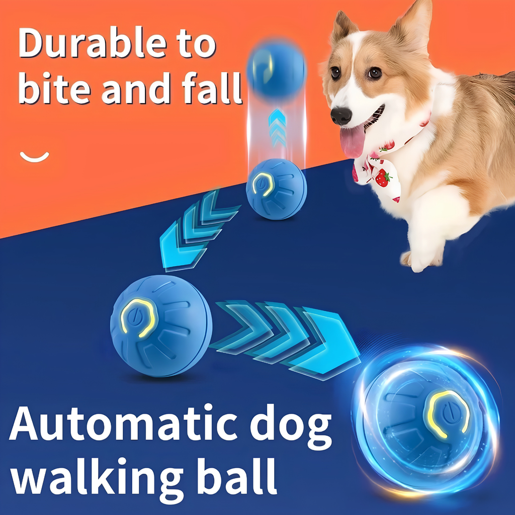 Blue self moving pet ball rolling in a zigzag path as a corgi leaps to chase the bouncing toy