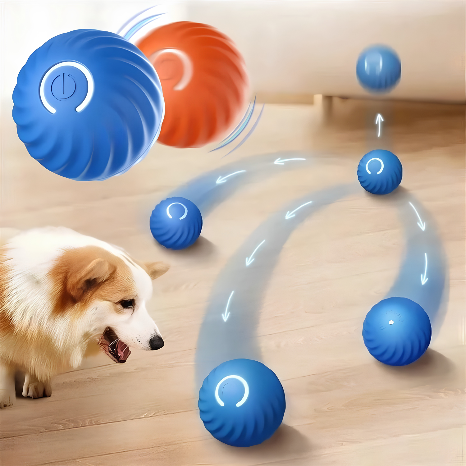 Blue self moving pet ball darting along curved arrows across a wood floor while a corgi watches