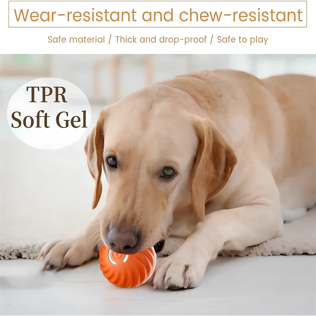 Labrador lying down mouthing an orange self moving pet ball, showing the chew-resistant soft shell