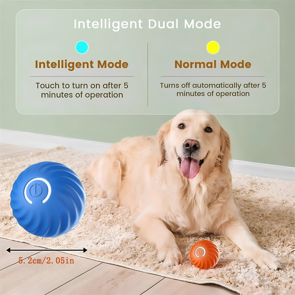 Golden retriever resting on a rug beside blue and orange self moving pet balls in dual play modes
