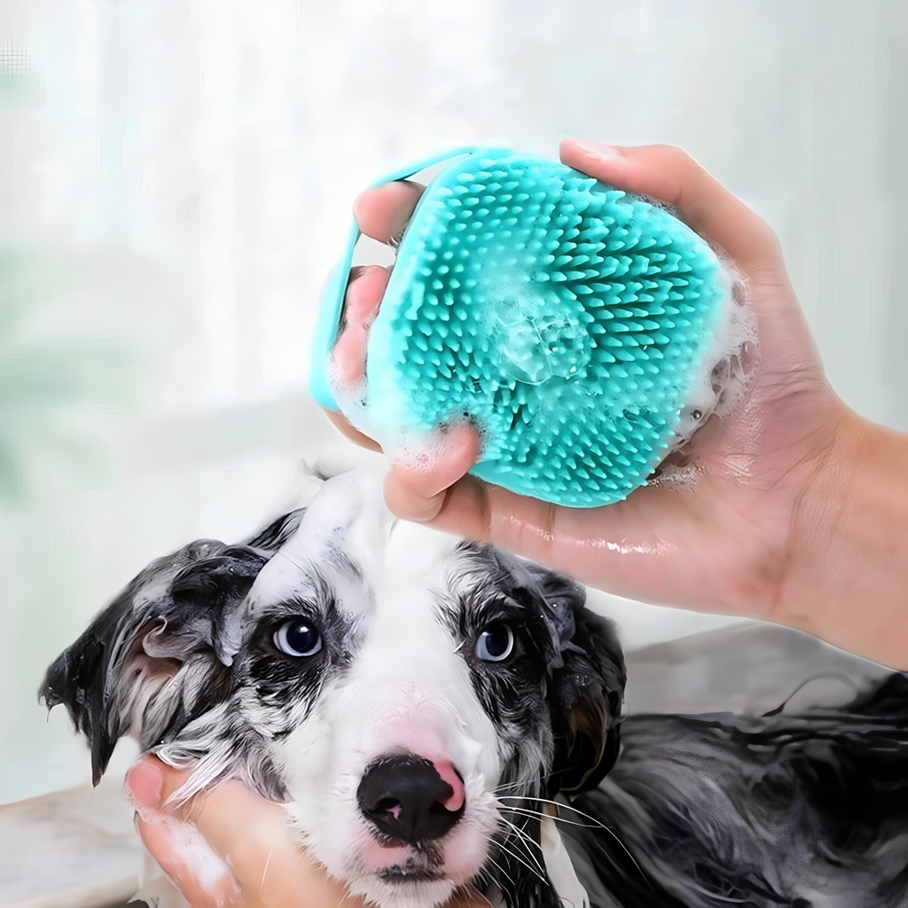 Sudsy silicone dog bath brush scrubbing a wet border collie during a calm bath