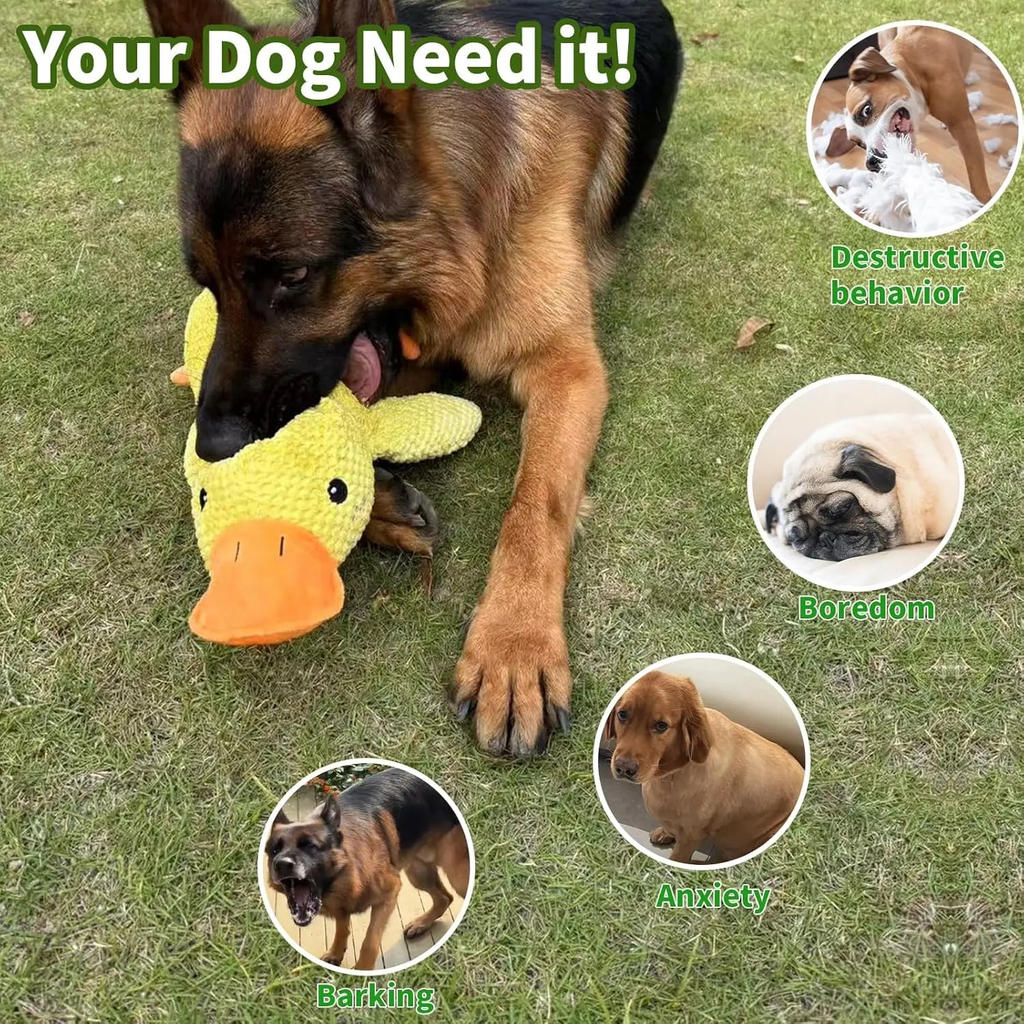 German Shepherd chewing the yellow squeaky duck dog toy on grass to curb destructive behavior